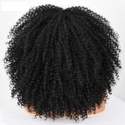 Black Curly Hair Wig