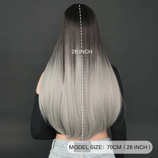 Stylonic Fashion Boutique Synthetic Wig Black and Silver Wig Black and Silver Wig Overview: Photos & Customer Insights