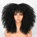 Stylonic Fashion Boutique Synthetic Wig Black Curly Hair Wig Black Curly Hair Wig - Stylonic Premium Wigs