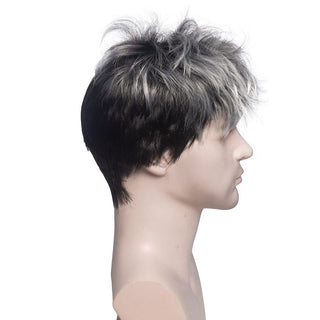 Stylonic Fashion Boutique Synthetic Wig Men's Silver Hair Wig Men's Silver Hair Wig - Stylonic Wigs