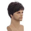 Stylonic Fashion Boutique Synthetic Wig Short Men's Wig Wigs | Silver Wigs | Mens's Wigs Short Men's Wig |  Stylonic